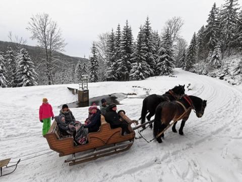 Апартаменти Strefa Ciszy -Lawenda Свєрадув-Здруй Екстер'єр фото